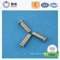 Hot Sale Stainless Steel Screw with Different Types